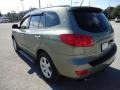 2008 Natural Khaki Green Hyundai Santa Fe Limited  photo #3