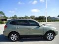 2008 Natural Khaki Green Hyundai Santa Fe Limited  photo #13