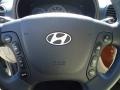 2008 Natural Khaki Green Hyundai Santa Fe Limited  photo #34