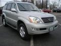 Silver Pine Metallic - GX 470 Photo No. 3