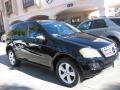 Black - ML 350 4Matic Photo No. 1