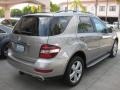 2009 Pewter Metallic Mercedes-Benz ML 350 4Matic  photo #2