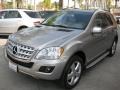 2009 Pewter Metallic Mercedes-Benz ML 350 4Matic  photo #8