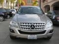 2009 Pewter Metallic Mercedes-Benz ML 350 4Matic  photo #9