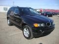 2003 Jet Black BMW X5 3.0i  photo #4