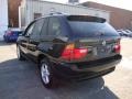 2003 Jet Black BMW X5 3.0i  photo #10