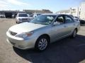 Lunar Mist Metallic - Camry XLE V6 Photo No. 2