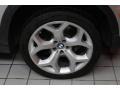 Titanium Silver Metallic - X5 4.8i Photo No. 14