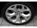 Titanium Silver Metallic - X5 4.8i Photo No. 21
