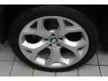 Titanium Silver Metallic - X5 4.8i Photo No. 23