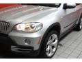 Titanium Silver Metallic - X5 4.8i Photo No. 24