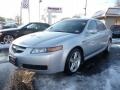 Satin Silver Metallic 2004 Acura TL 3.2 Exterior