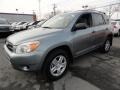 Everglade Metallic - RAV4 4WD Photo No. 1