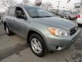 Everglade Metallic - RAV4 4WD Photo No. 8