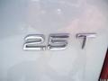Silver Metallic - S60 2.5T Photo No. 10