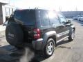 Black - Liberty Sport 4x4 Photo No. 7