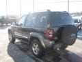 Black - Liberty Sport 4x4 Photo No. 9