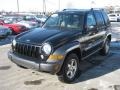 Black - Liberty Sport 4x4 Photo No. 10