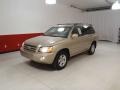 2007 Sonora Gold Pearl Toyota Highlander   photo #8