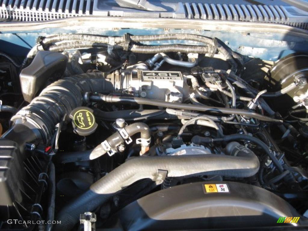 2004 Ford Explorer Eddie Bauer 4x4 4.6 Liter SOHC 16-Valve V8 Engine Photo #45108916