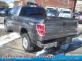 2011 Sterling Grey Metallic Ford F150 XLT SuperCab 4x4  photo #5