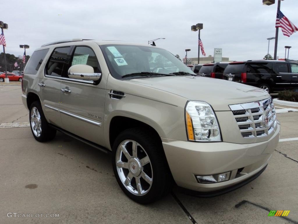 Gold Mist Metallic 2011 Cadillac Escalade Premium AWD Exterior Photo #45119846