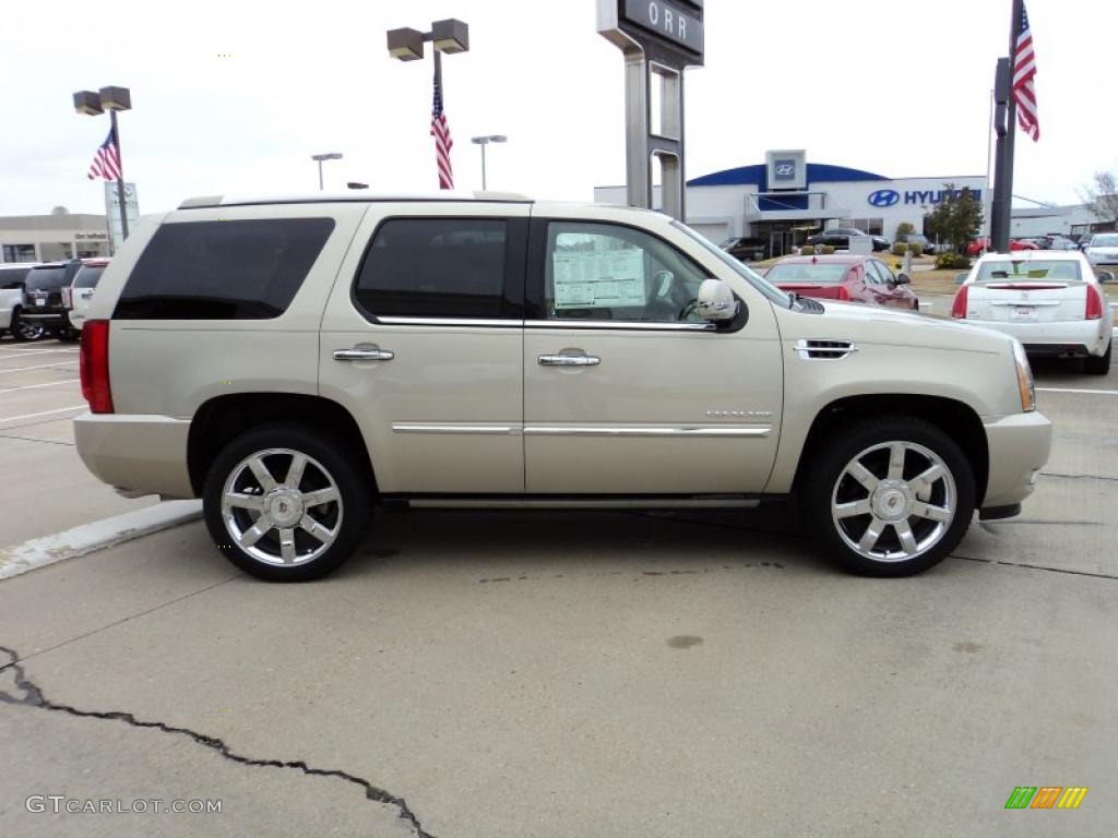 Gold Mist Metallic 2011 Cadillac Escalade Premium AWD Exterior Photo #45119878