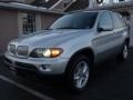 2004 Titanium Silver Metallic BMW X5 4.4i  photo #1