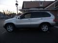 2004 Titanium Silver Metallic BMW X5 4.4i  photo #17