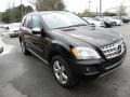 Black 2009 Mercedes-Benz ML 350 Exterior