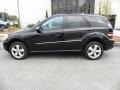 Black 2009 Mercedes-Benz ML 350 Exterior