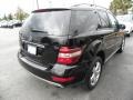 Black 2009 Mercedes-Benz ML 350 Exterior