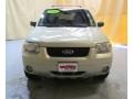 2005 Gold Ash Metallic Ford Escape Limited  photo #11