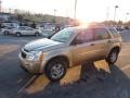 Sandstone Metallic - Equinox LS AWD Photo No. 3