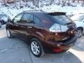 Brandywine Mica 2009 Lexus RX 350 AWD Exterior