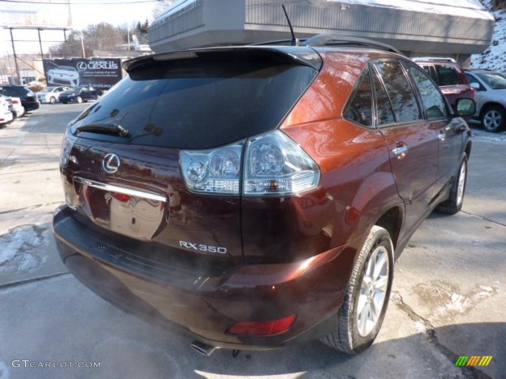 Brandywine Mica 2009 Lexus RX 350 AWD Exterior Photo #45136395