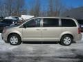 Light Sandstone Metallic - Grand Caravan SE Photo No. 14