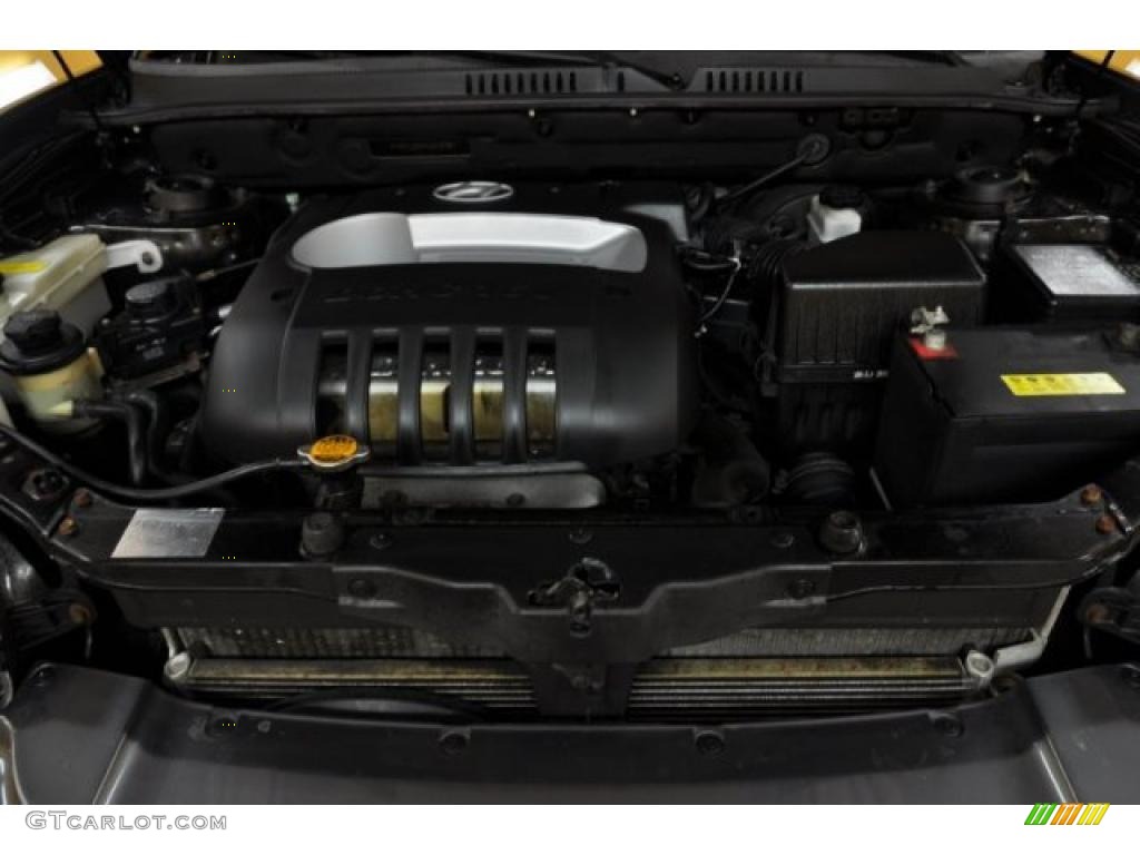 2004 Hyundai Santa Fe Standard Santa Fe Model 2.4 Liter DOHC 16V 4 Cylinder Engine Photo #45146959