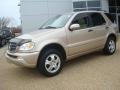 Desert Silver Metallic - ML 320 4Matic Photo No. 2