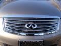 Platinum Graphite - M 35x AWD Sedan Photo No. 3