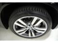 2010 BMW X5 M Standard X5 M Model Wheel and Tire Photo