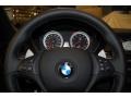 2010 Black Sapphire Metallic BMW X5 M   photo #31