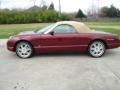 Merlot Metallic 2004 Ford Thunderbird Premium Roadster