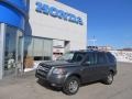 Nimbus Gray Metallic - Pilot EX 4WD Photo No. 1