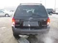 2006 Black Ford Escape XLT V6 4WD  photo #8