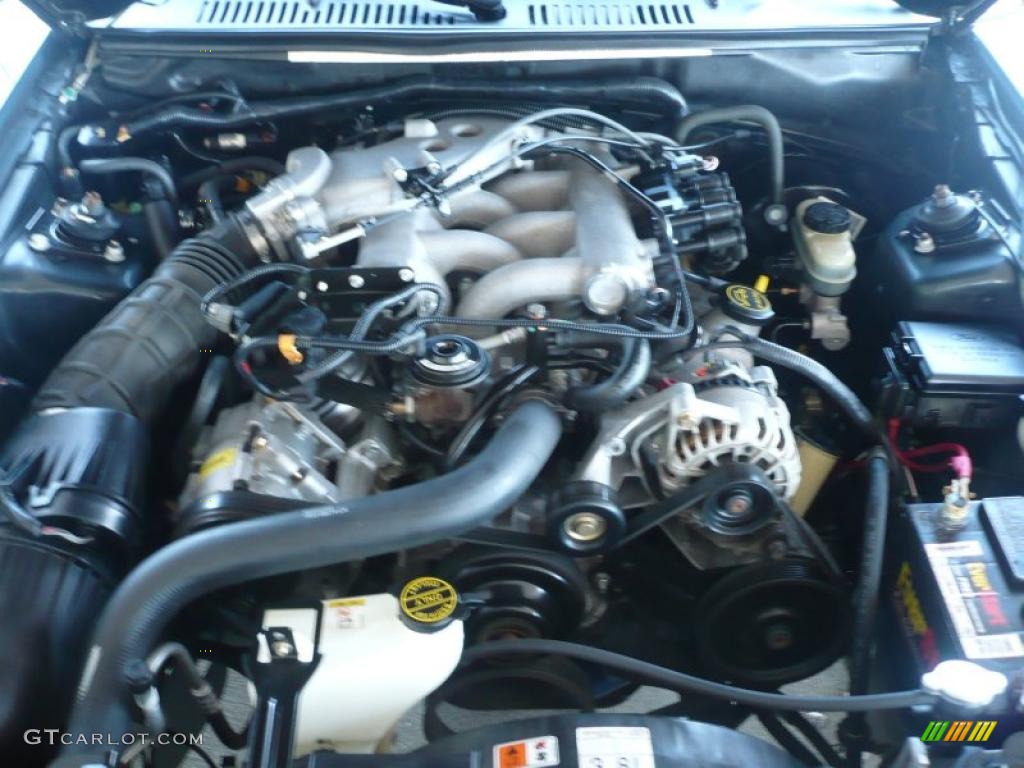 2003 Mustang V6 Coupe - Tropic Green Metallic / Medium Graphite photo #14