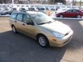 Fort Knox Gold - Focus SE Wagon Photo No. 6