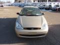 Fort Knox Gold - Focus SE Wagon Photo No. 7