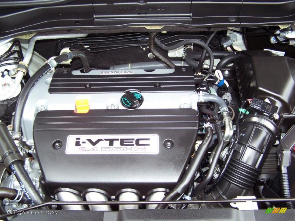 2009 CR-V EX-L 4WD - Taffeta White / Gray photo #6