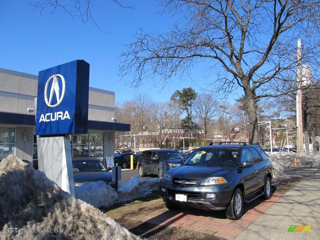 2004 MDX  - Sagebrush Pearl / Quartz photo #4